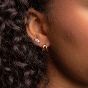 Boucles Fixes Gini