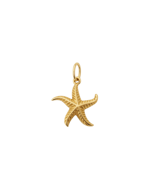 Starfish Charm