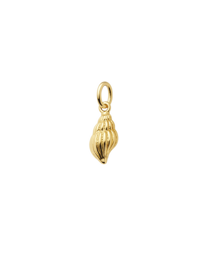 Shell Charm