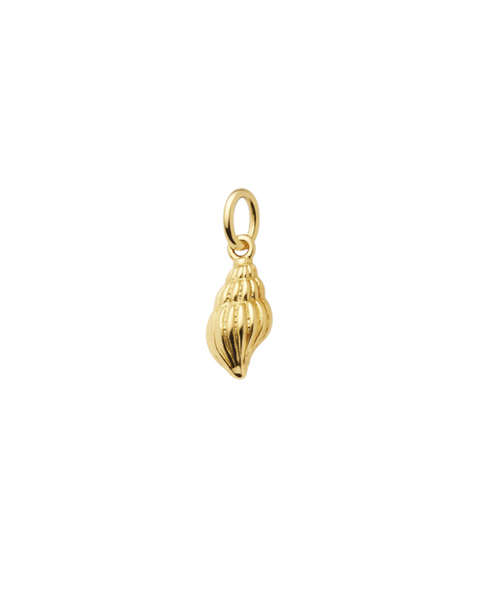 Shell Charm
