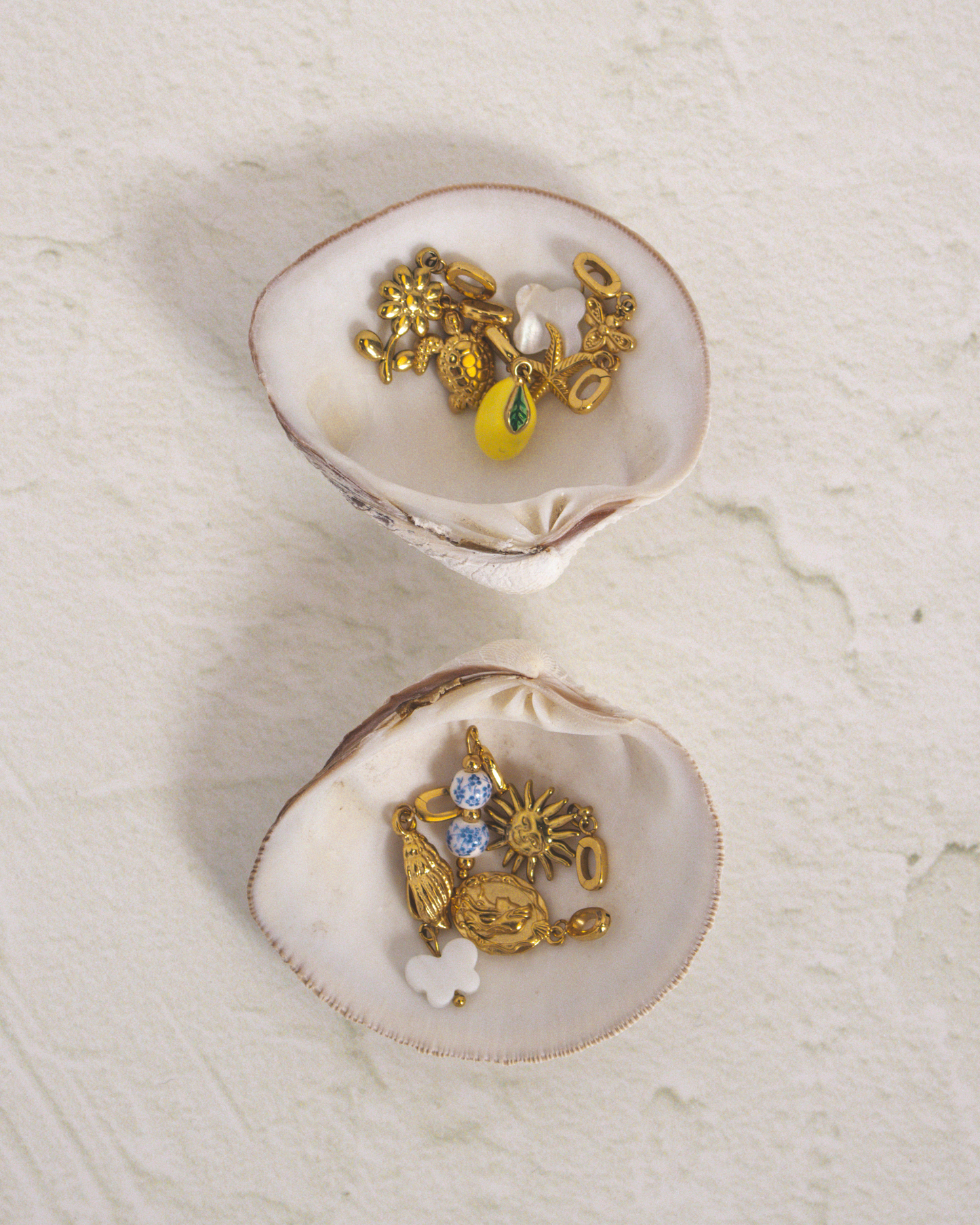 Shell Charm
