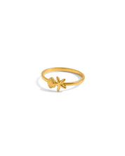 waterproof - Coastal Ring - Sunny Sunday