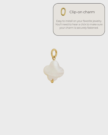 Lucky Charm