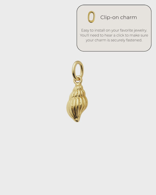 Shell Charm