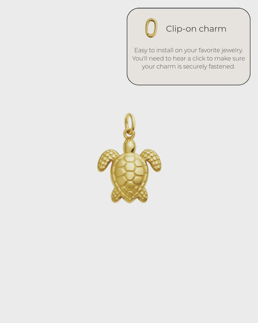 Turtle Charm