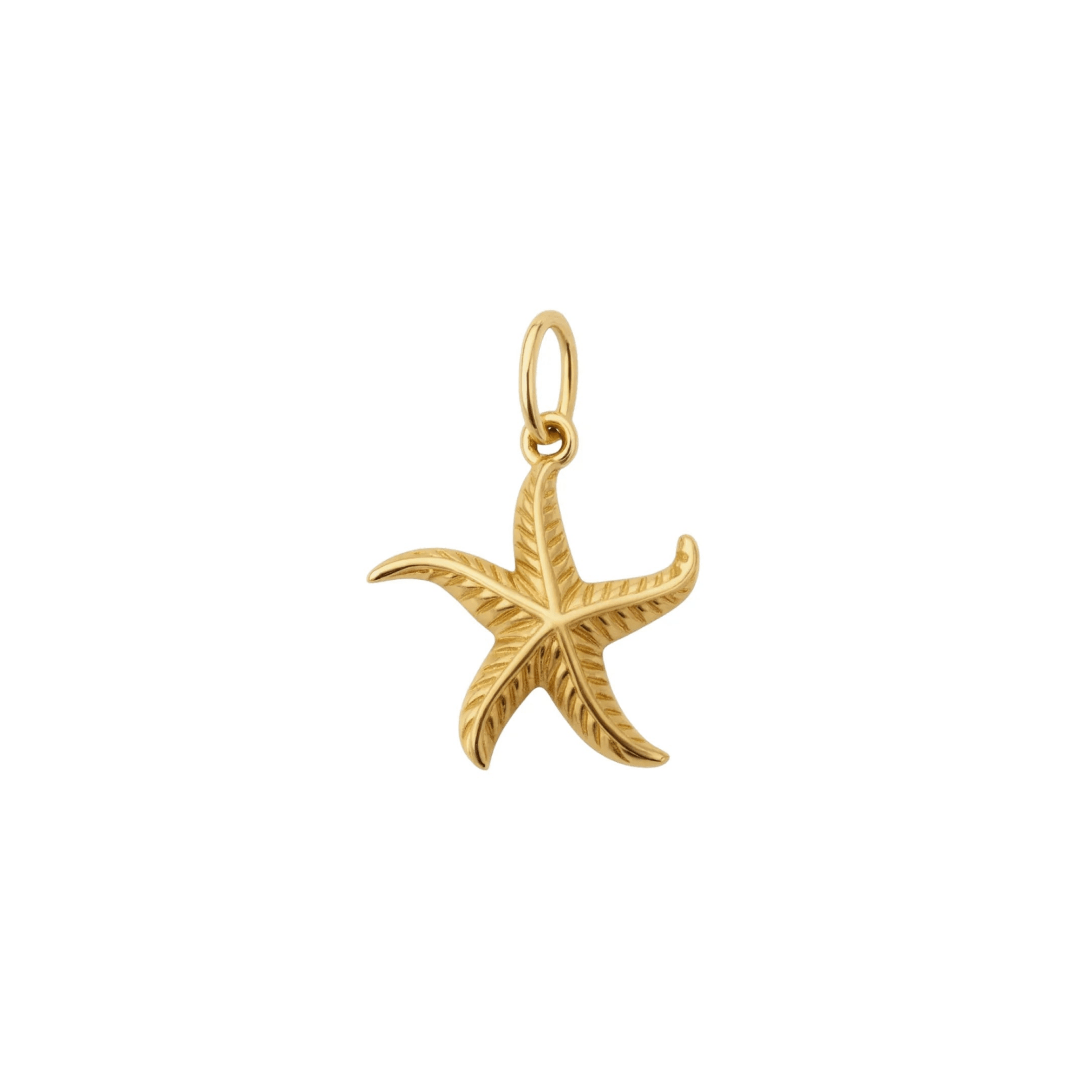 waterproof - Starfish Charm - Sunny Sunday