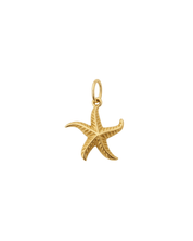 waterproof - Starfish Charm - Sunny Sunday