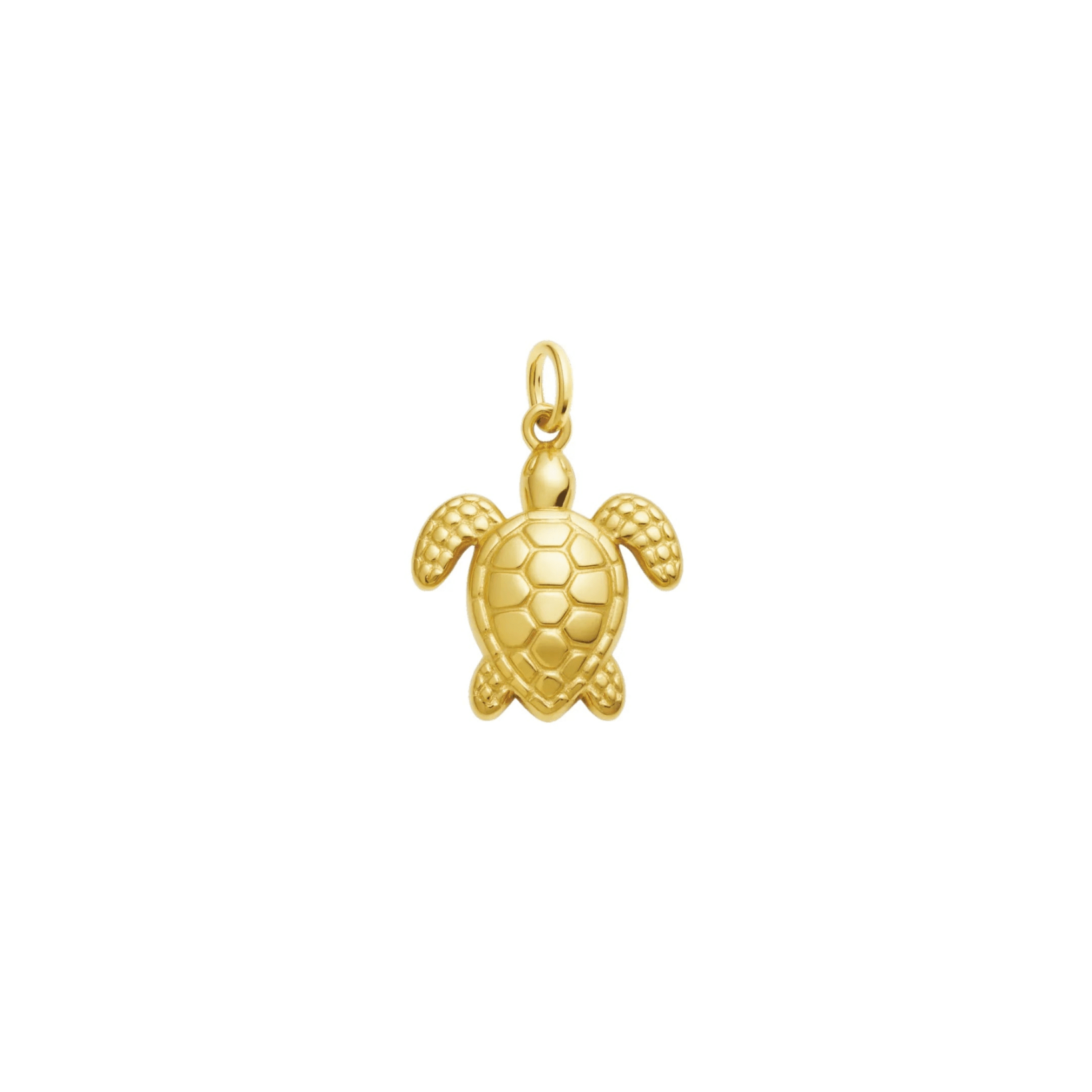 waterproof - Turtle Charm - Sunny Sunday