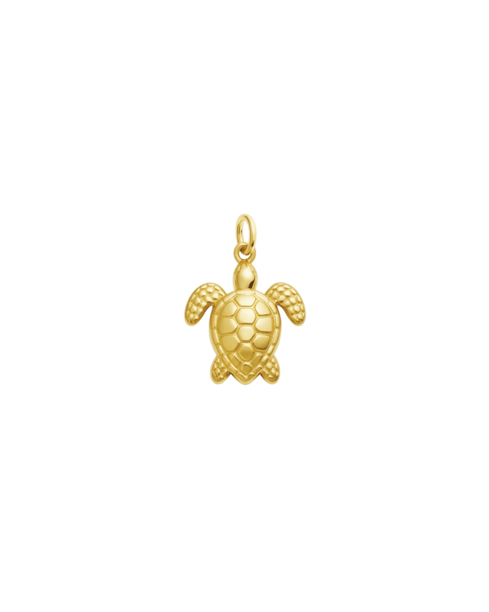 waterproof - Turtle Charm - Sunny Sunday