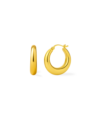 Iconic Hoops