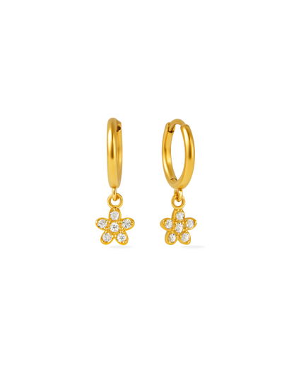 Boucles d'oreilles Scintillantes